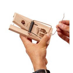 Klasyczna pułapka na szczury